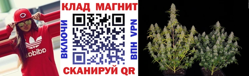 Где можно купить наркотики Курск Каннабис ссылка на мегу рабочий сайт ГАШИШ АМФ