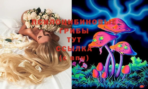 бошки Приозерск