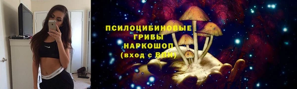бошки Приозерск