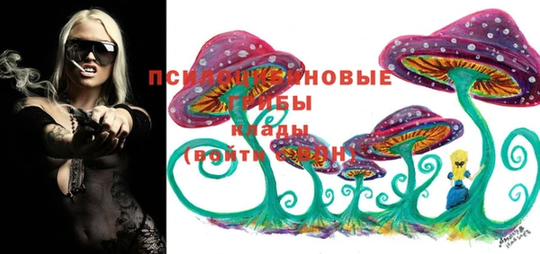 гидра Протвино