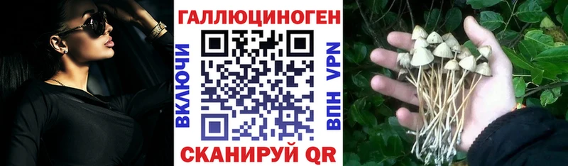 Псилоцибиновые грибы прущие грибы  kraken маркетплейс  Курск 