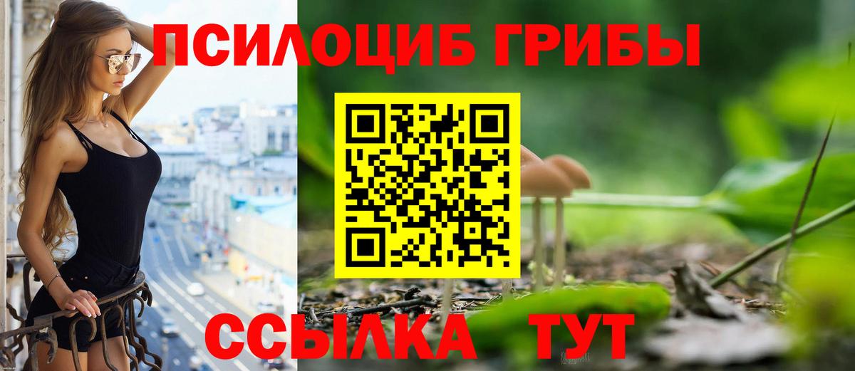 Курск  Псилоцибиновые грибы GOLDEN TEACHER  Вход с VPN  Псилоцибиновые грибы MAGIC MUSHROOMS 