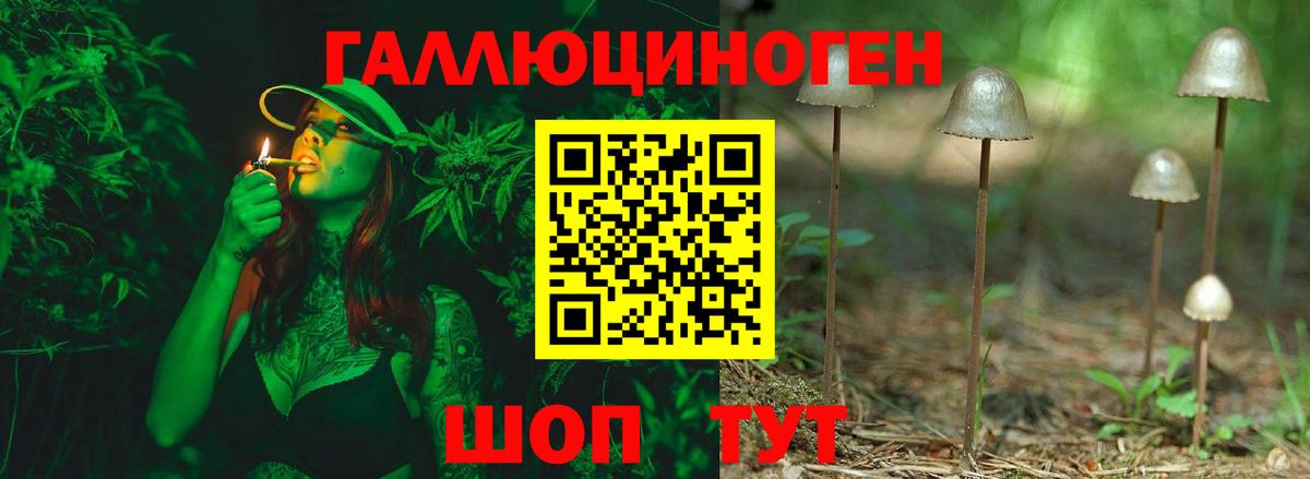 Псилоцибиновые грибы мухоморы Курск